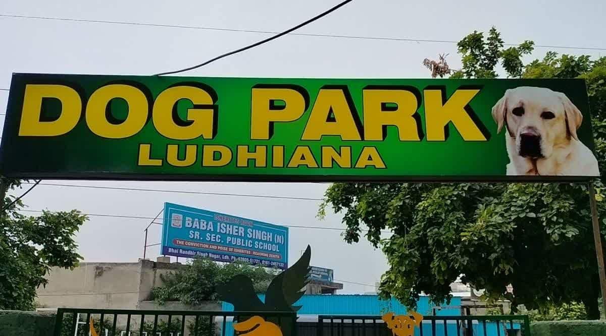 लुधियाना में कुत्तों के लिए विशेष पार्क