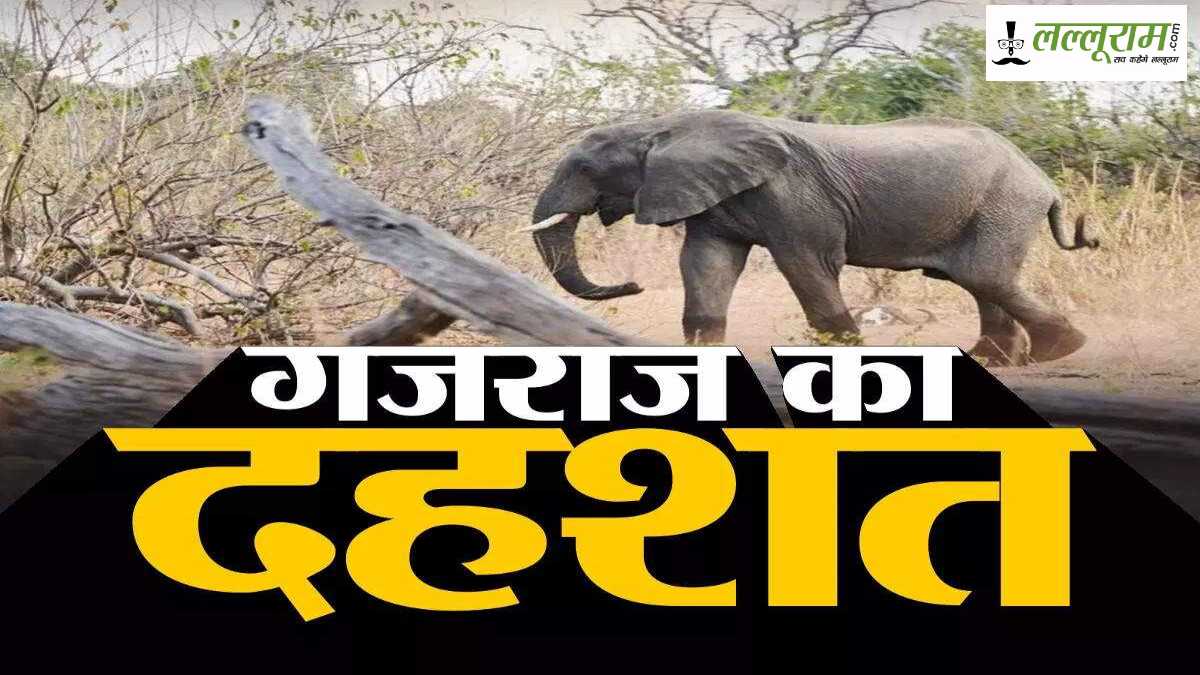 CG में गजराज बने यमराज: हाथी ने महिला को कुचल-कुचलकर मार डाला, इलाके में दहशत का माहौल