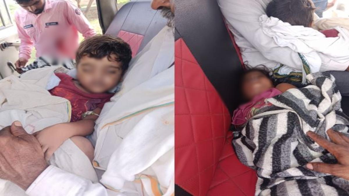 खटिया पर सो रहे दो मासूमों को सांप ने काटा: अस्पताल ले जाते समय रास्ते में तोड़ा दम, आपस में सगे भाई बहन थे दोनों