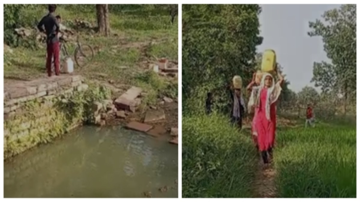 Panna News: आदिवासी बच्ची की पोखर में डूबने से मौत, पानी भरने के दौरान हुआ हादसा   