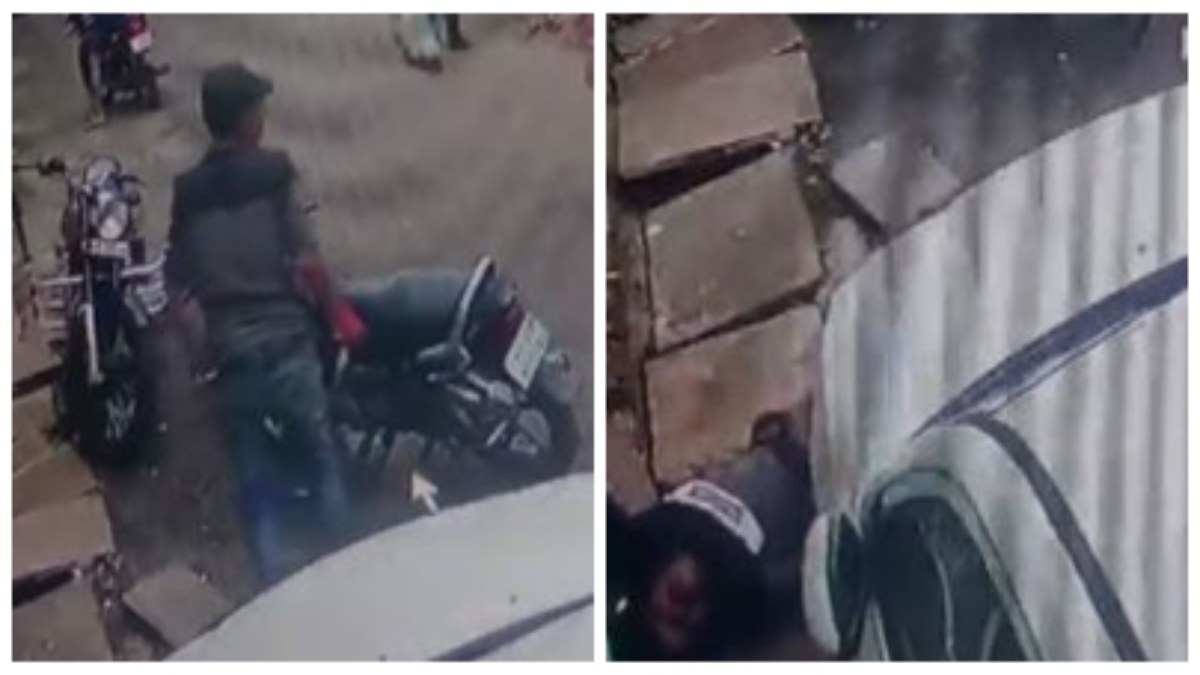 चलती बाइक पर युवक को कोबरा ने डसा: सड़क पर गिरा, फिर उठा ही नहीं, मौत का LIVE VIDEO आया सामने  