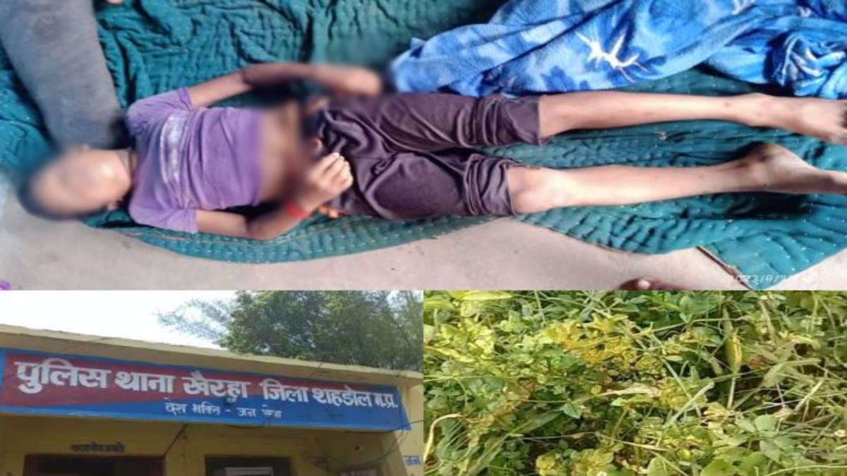 MP में करंट लगने से 2 की मौत: खेत में बिजली तार की चपेट में आने से नाबालिग ने तोड़ा दम, मछली मारने नदी गए युवक की गई जान