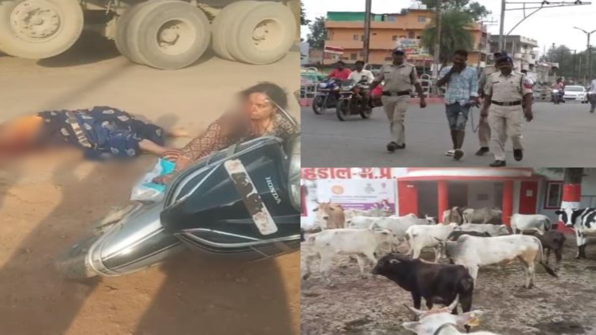 Shahdol News: तेज रफ्तार ट्रक ने बुजुर्ग महिला को कुचला, गौ सेवकों ने NH पर खड़े गोवंशों को नगर परिषद में छोड़ा, लूट के आरोपी का निकाला जुलूस