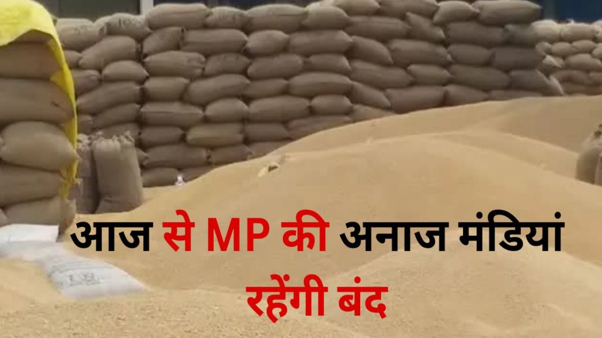 अनाज व्यापारियों की हड़ताल: 11 मांगों को लेकर प्रदेश की 230 मंडियां अनिश्चितकालीन तक बंद, किसानों की बढ़ी चिंता