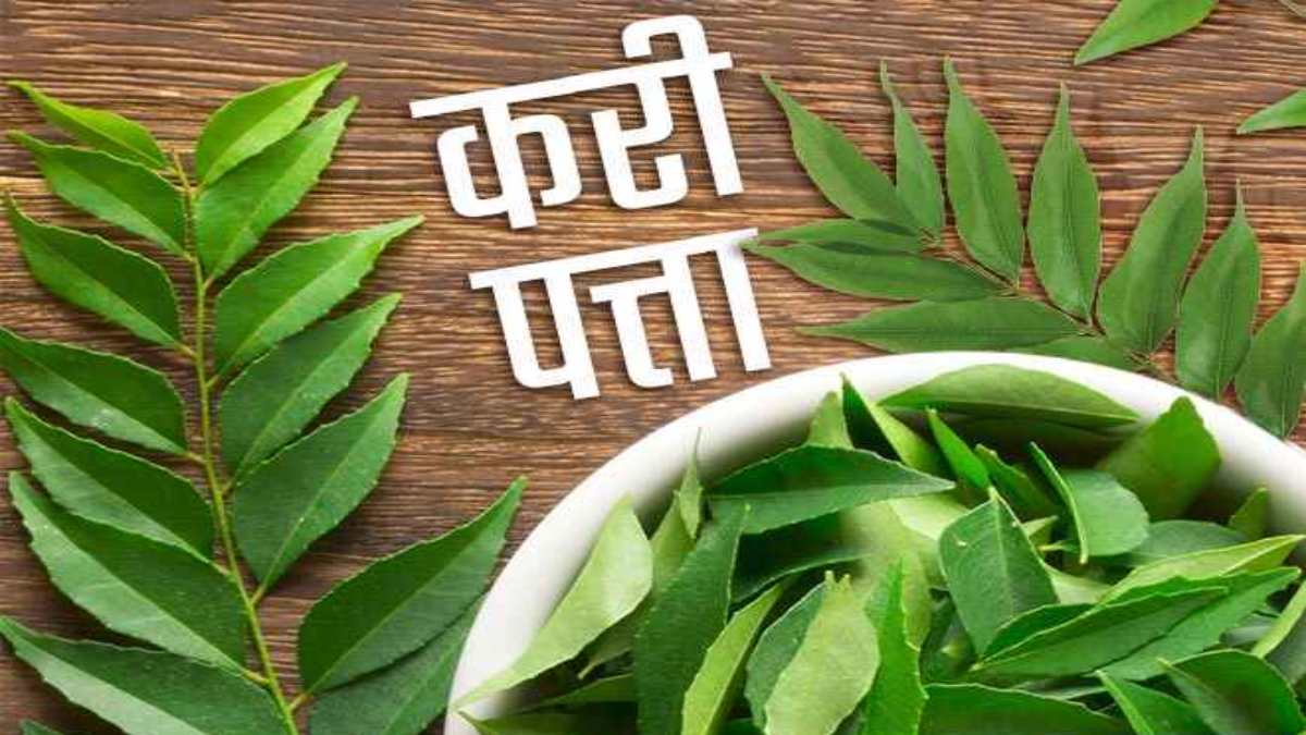 करी पत्ते में मौजूद हैं कई आयुर्वेदिक औषधि के गुण, रोजाना सुबह खाली पेट इसे खाने से दूर होती हैं ये बीमारियां …
