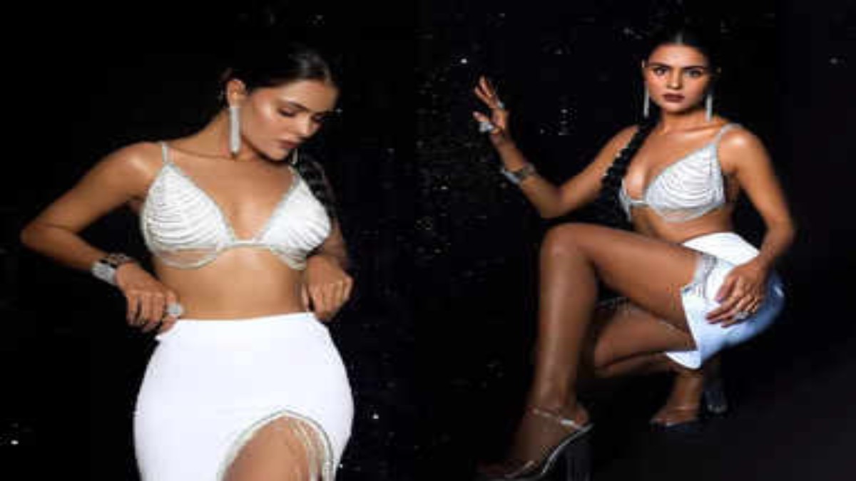 Priyanka Chahar Choudhary ने देसी लुक के बाद लगाया ट्रेडिशनल का तड़का, वीडियो देख फैंस के छूटे पसीने …