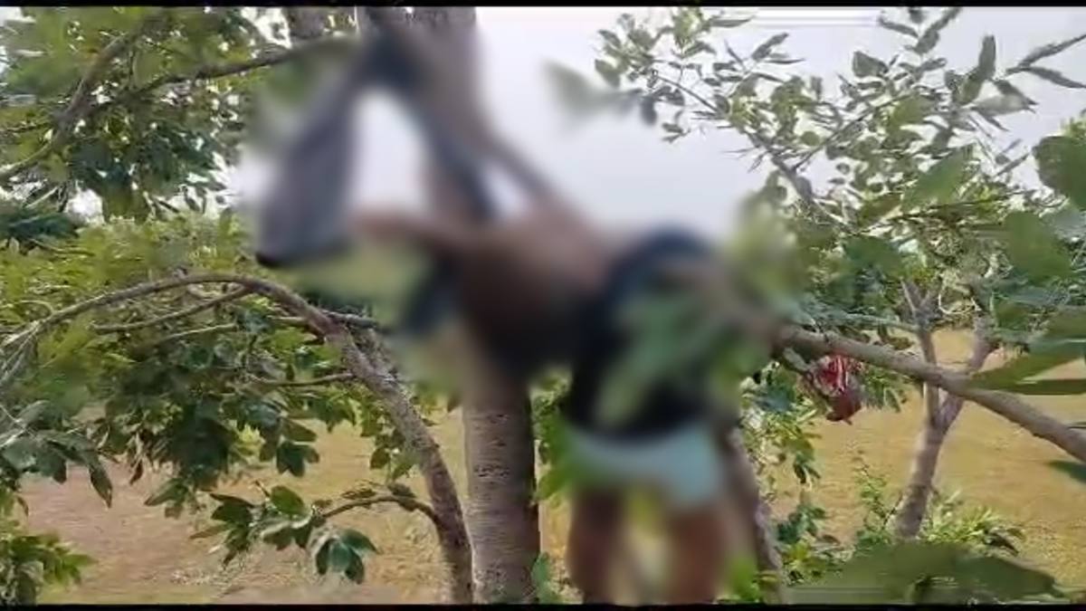 कलयुगी पिता की घिनौनी करतूत: 10 माह के बच्चे को घुमाने के बहाने ले गया साथ, फिर मारकर पेड़ पर लटकाया शव, मासूम के हाथों में सजी थी राखी …