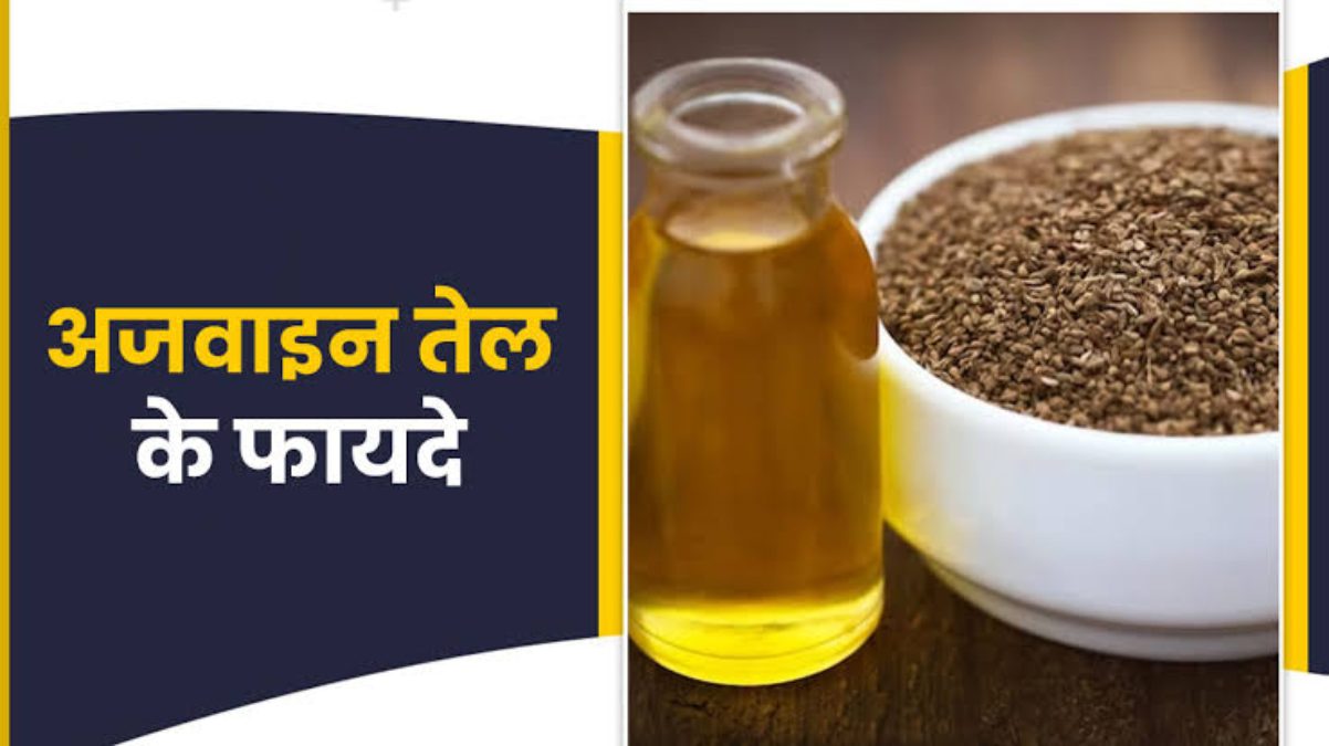 खाने का स्वाद बढ़ाने वाला अजवाइन है बहुत गुणकारी, अजवाइन तेल कई तरह की बीमारियों से दिलाता है निजात, आप भी करें इस्तेमाल …