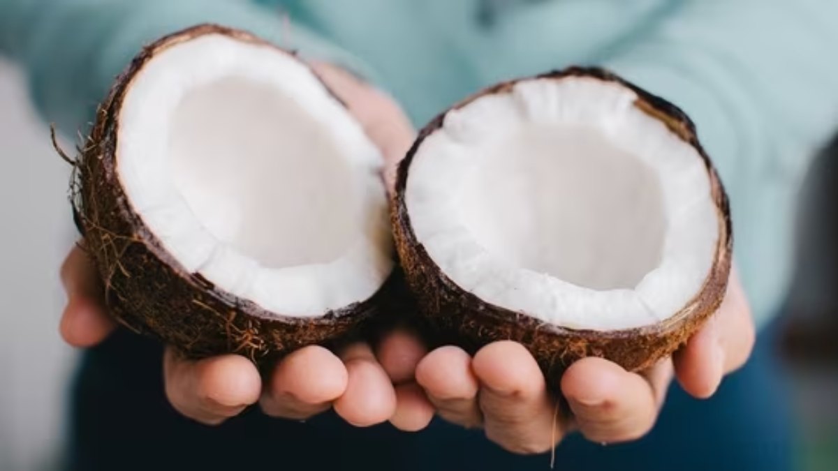 World Coconut Day : नारियल के हैं अद्भुत फायदे, जानिए विश्व नारियल दिवस का इतिहास