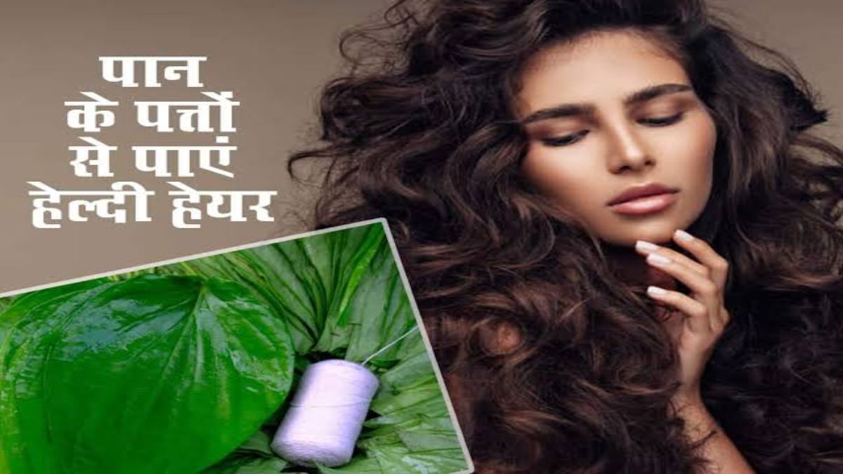 Hair Care Tips : आपको भी है बालों से जुड़ी ये समस्याएं, तो पान के पत्ते से बने ये 3 हेयर मास्क आएंगे आपके काम …