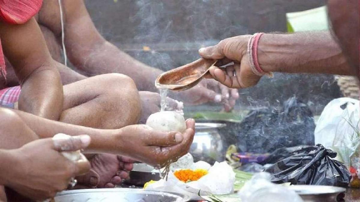 पितृपक्ष : भोजन करने से पहले निकालें गौ ग्रास, पितृ दोष से मिलेगी मुक्ति