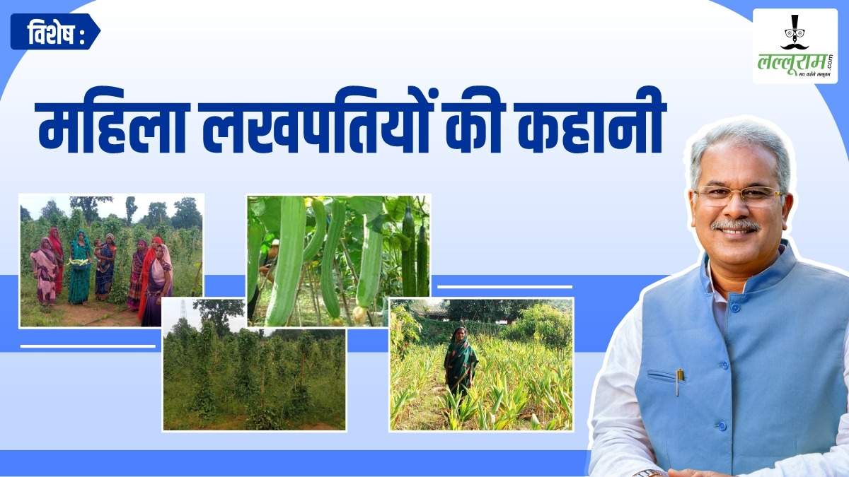 विशेष- बाड़ी विकास योजना से लखपति बना समूह: बरबटी-तोरई-लौकी ने बदली महिलाओं की किस्मत, हल्दी, अदरक और केले की खेती से श्यामा बनी धनवान, पढ़िए मेहनतकशों की कहानी