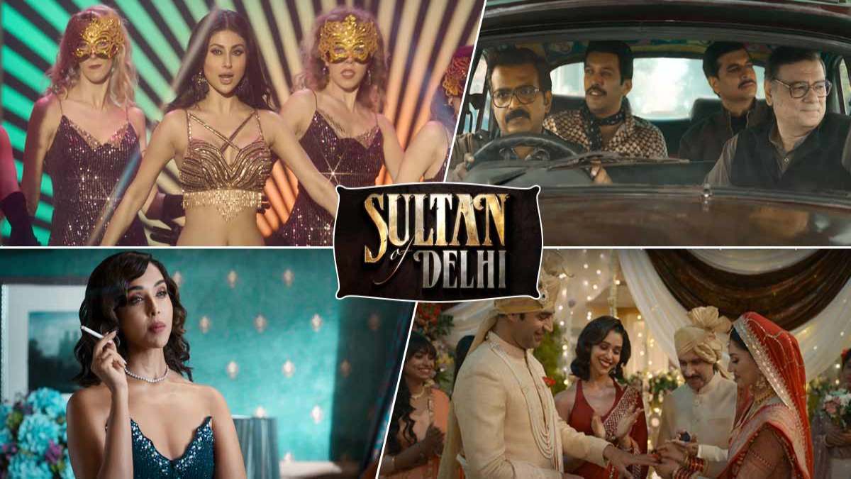 Sultan Of Delhi Trailer Release : लड़ाई के बीच ग्लैमर और इंटीमेट सीन से भरपूर है Trailer, बढ़ा देगा आपका टेंपरेचर …