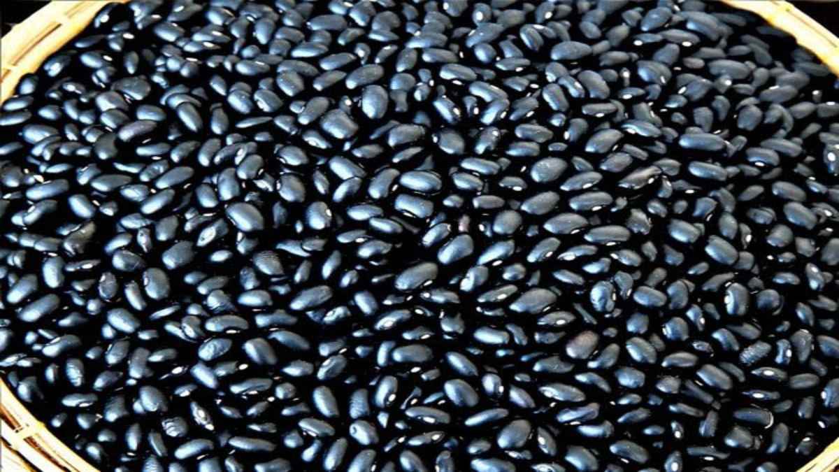 Black Beans खाकर आप भी खत्म कर सकते हैं अपने शरीर की चर्बी, इस 4 उपायों को जरूर करें Try …