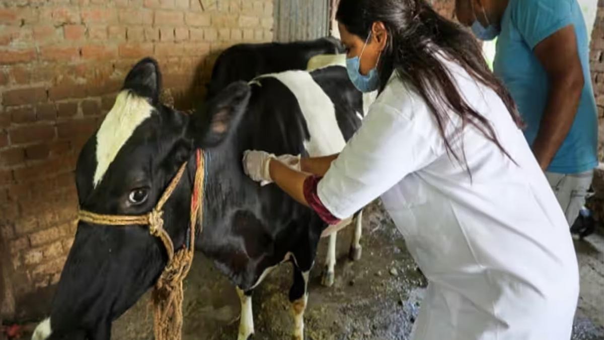 UP सरकार ने गोवंश को लंपी वायरस से बचाने के लिए दिए निर्देश, एक महीने में एक लगेगी करोड़ वैक्सीन