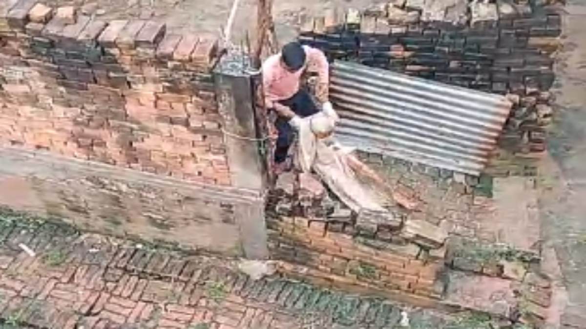 80 साल की दादी को पोते ने बेरहमी से पीटा, सोशल मीडिया पर Video वायरल