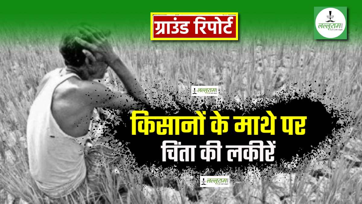 किसानों के माथे पर चिंता की लकीरें: 1100 हेक्टेयर में रोपाई, 9100 हेक्टेयर में नहीं हुई बियासी, कम बारिश से खेतों में पड़ी दरारें, रुठे इंद्र और सूखे से टेंशन में अन्नदाता