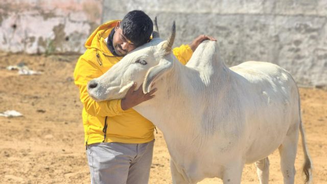 Rajasthan News: तो इस कारण अजमेर की हाई सिक्योरिटी जेल में लाया गया मोनू मानेसर