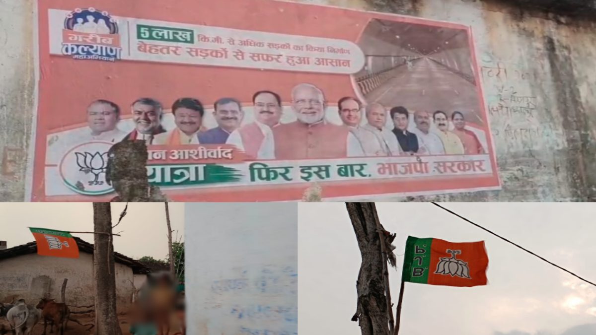 MP में आचार संहिता का उल्लंघन: खंभों पर लगे दिखे भाजपा के झंडे, दीवारों पर बैनर-पोस्टर, SDM ने कही ये बात