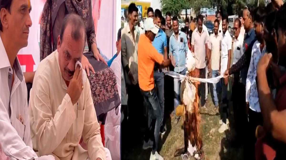 MP Elections: टिकट नहीं मिलने पर दावेदार के आंखों में आंसू, कार्यकर्ताओं ने कांग्रेस प्रत्याशी का फूंका पुतला, स्थानीय उम्मीदवार की मांग
