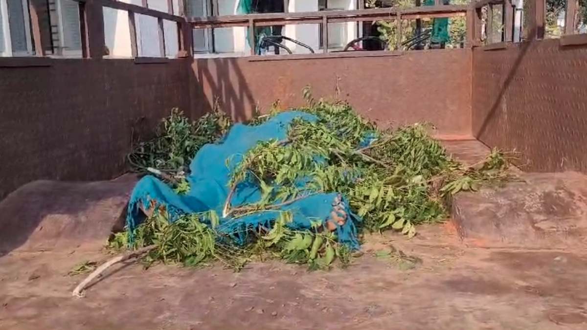 डैम में डूबने से युवक की मौत: देवी दुर्गा प्रतिमा विसर्जन के दौरान हुआ हादसा, घर में पसरा मातम