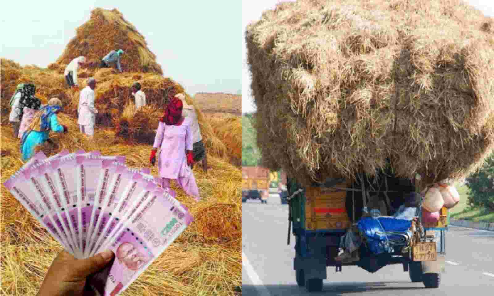 बदायूं: पराली बेचकर कमाएं पैसा, जानिए कौन-सा प्लांट कर खरीदारी