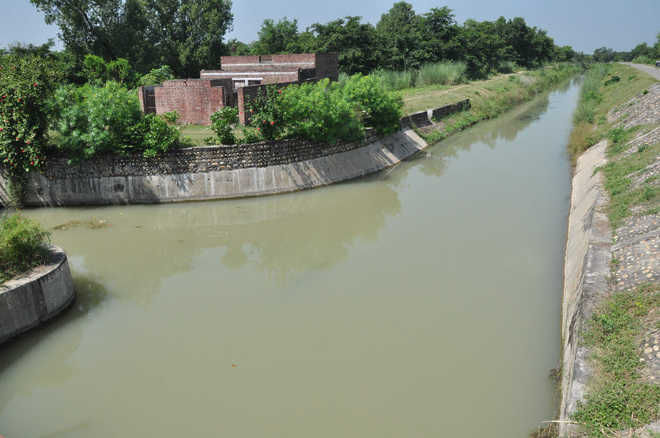 Punjab : छह मासी नहर अब चलेंगी बारहमासी
