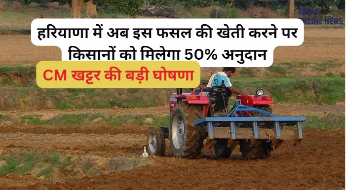 Haryana: गुरुग्राम में मसाले की खेती करने वाले किसानों को अब दिया जाएगा अनुदान