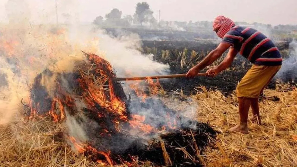 Punjab News: पराली जलाने वाले सावधान! नहीं बनेंगे बच्चों के पासपोर्ट