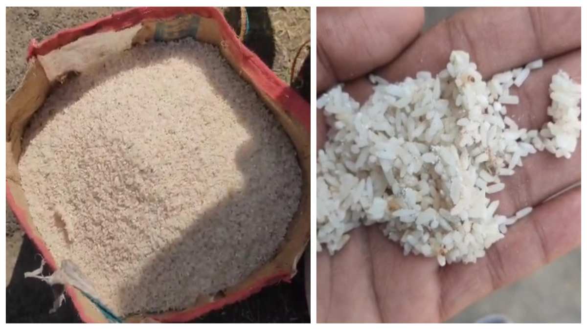 गरीबों की झोली में ऐसा अन्न, जिसे जानवर भी खाने से कर दे इनकार: MP के इस जिले में मिल रहा फफूंद और कीड़े पनप रहे खाद्यान्न