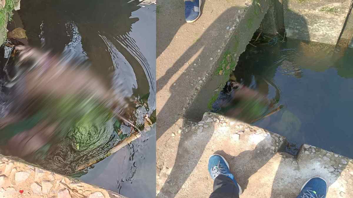 CG News : पुल के नीचे तैरती मिली महिला की लाश, नदी पार करते समय डूबने की आशंका