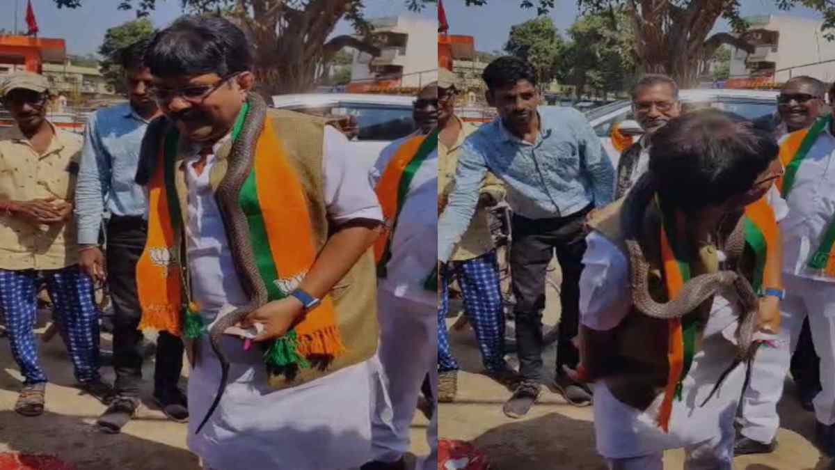 CG Assembly Election 2023 : मतदाताओं को रिझाने में जुटे प्रत्याशी, चुनाव प्रचार के दौरान भाजपा नेता ने सांप को गले में लपेटकर दिखाया करतब…