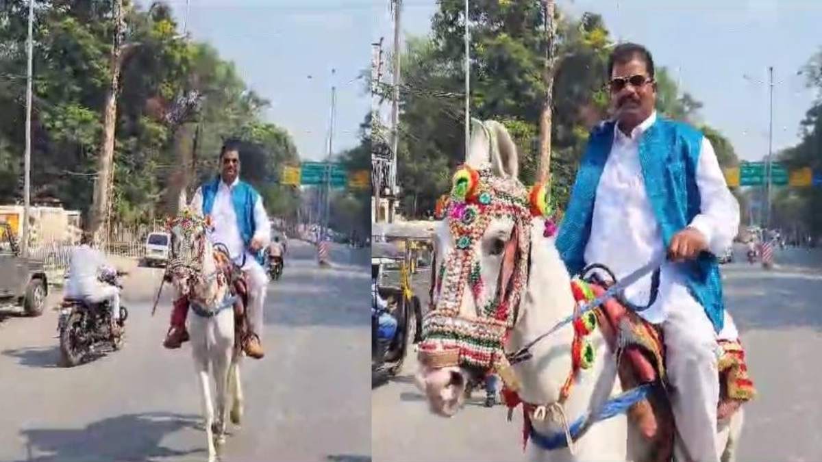CG Assembly Election 2023 : अलग अंदाज में प्रत्याशी ने बिखेरा जलवा, घोड़े पर सवार होकर दाखिल किया नामांकन, देखें VIDEO ….
