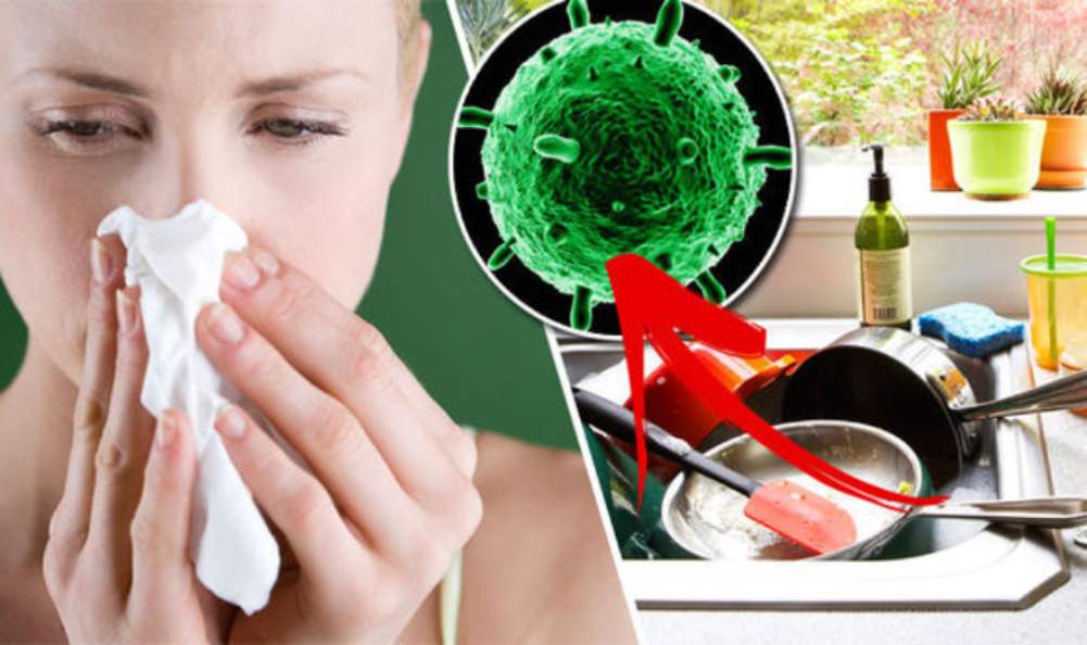House Contain Germs: घर में मौजूद इन 6 चीजों में होते हैं सबसे ज्यादा कीटाणु, इन्हें नियमित रूप से करें साफ
