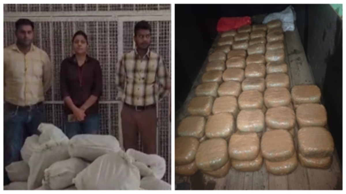 MP में पुलिस को मिली बड़ी सफलता: 50 लाख का गांजा जब्त, चार तस्कर गिरफ्तार, डीलिंग के लिए फ्लाइट यूज करता था सरगना