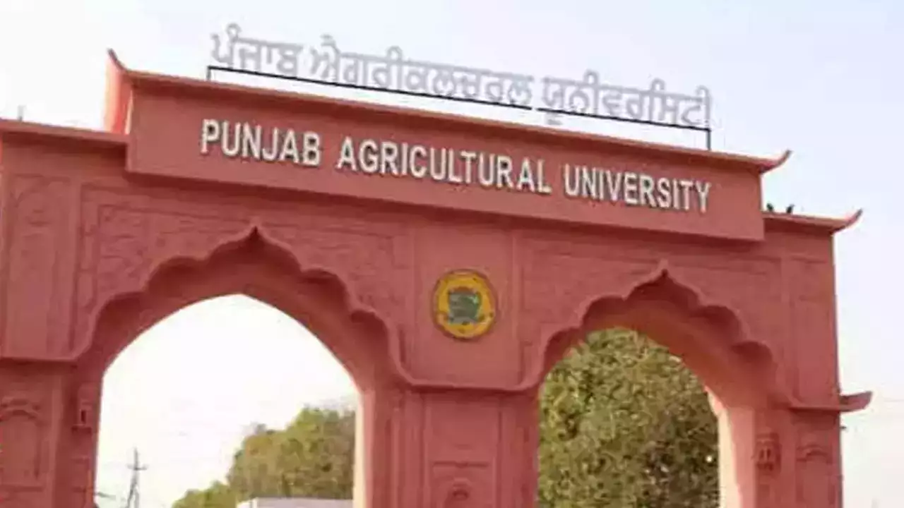 अब 1 नवंबर महाडिबेट पीएयू लुधियाना में होगी