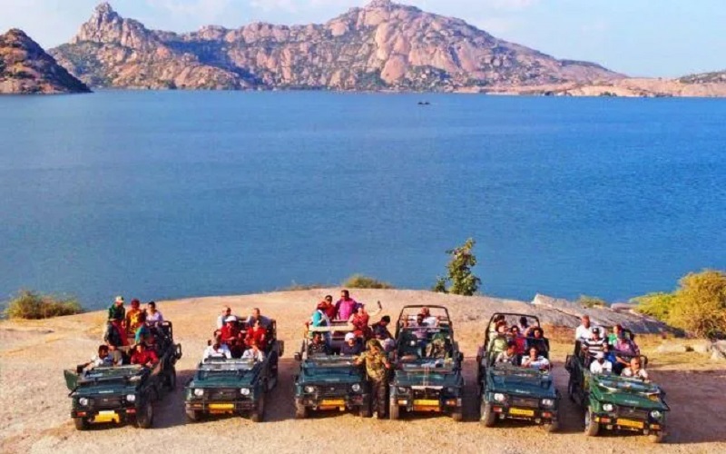 Rajasthan News: 500 पर्यटक मित्रों की होगी नियुक्ति, विदेशी पर्यटकों को मिलेगा मार्गदर्शन