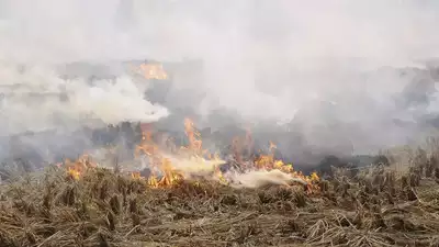 पराली के धुएं से घुट रहा पंजाब और हरियाणा का दम