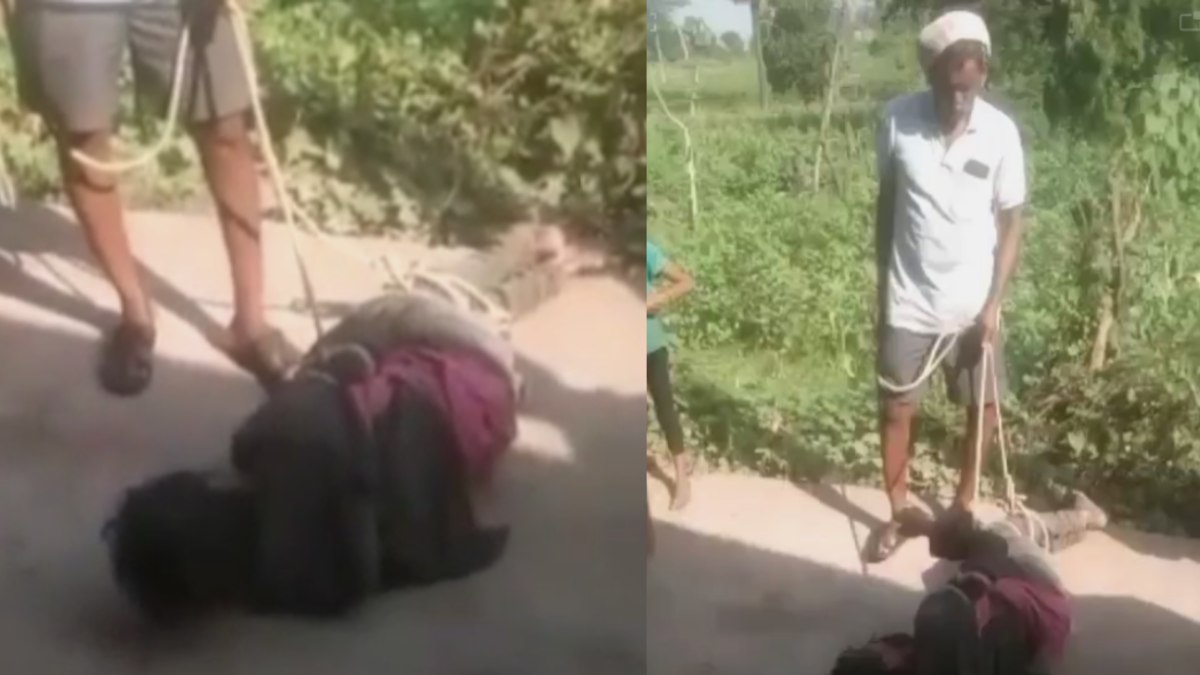 VIDEO: 100 रुपए की चोरी के शक में तालिबानी सजा; हाथ-पैर बांधकर की जमकर पिटाई, गिड़गिड़ता रहा युवक पर नहीं पसीजा आरोपियों का दिल