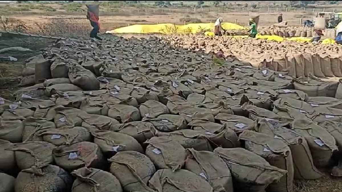राशन दुकानों में सड़ा गेहूं बांटने के मामले में 3 अधिकारियों को शोकॉज नोटिस, कलेक्टर ने गेहूं वापस करने के दिए निर्देश