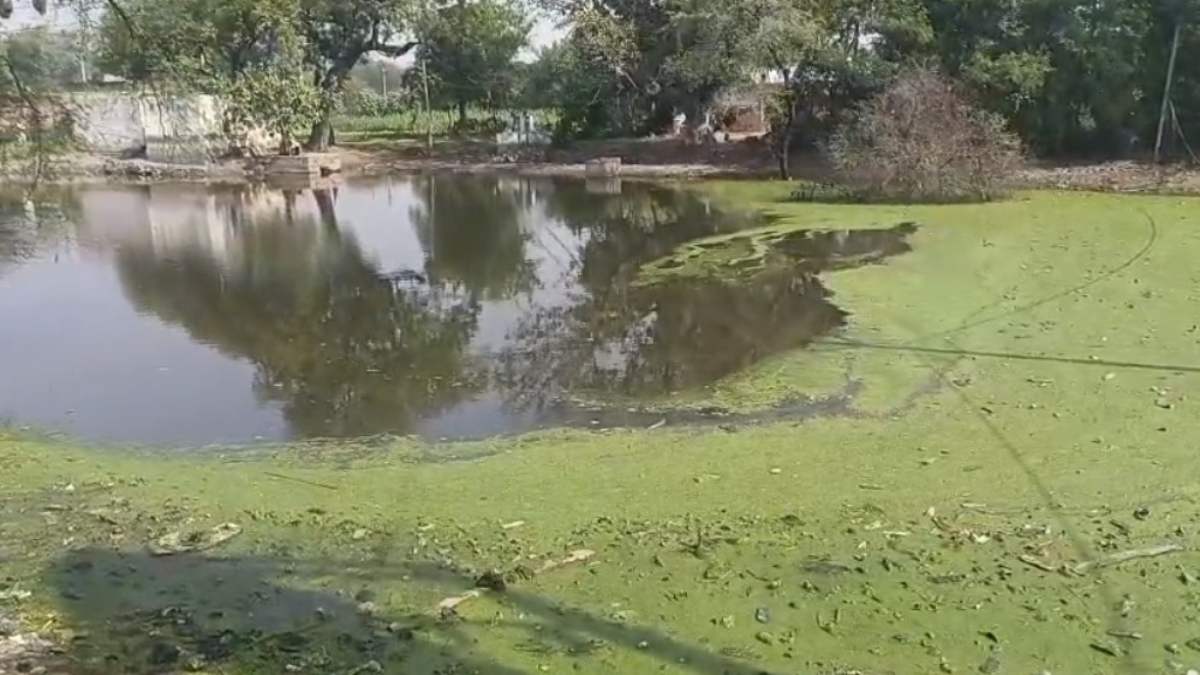 जल भराव से कब्रिस्तान बना तालाब: दफनाने के लिए दो गज की जमीन नहीं, प्रशासन से कई बार लगा चुके गुहार