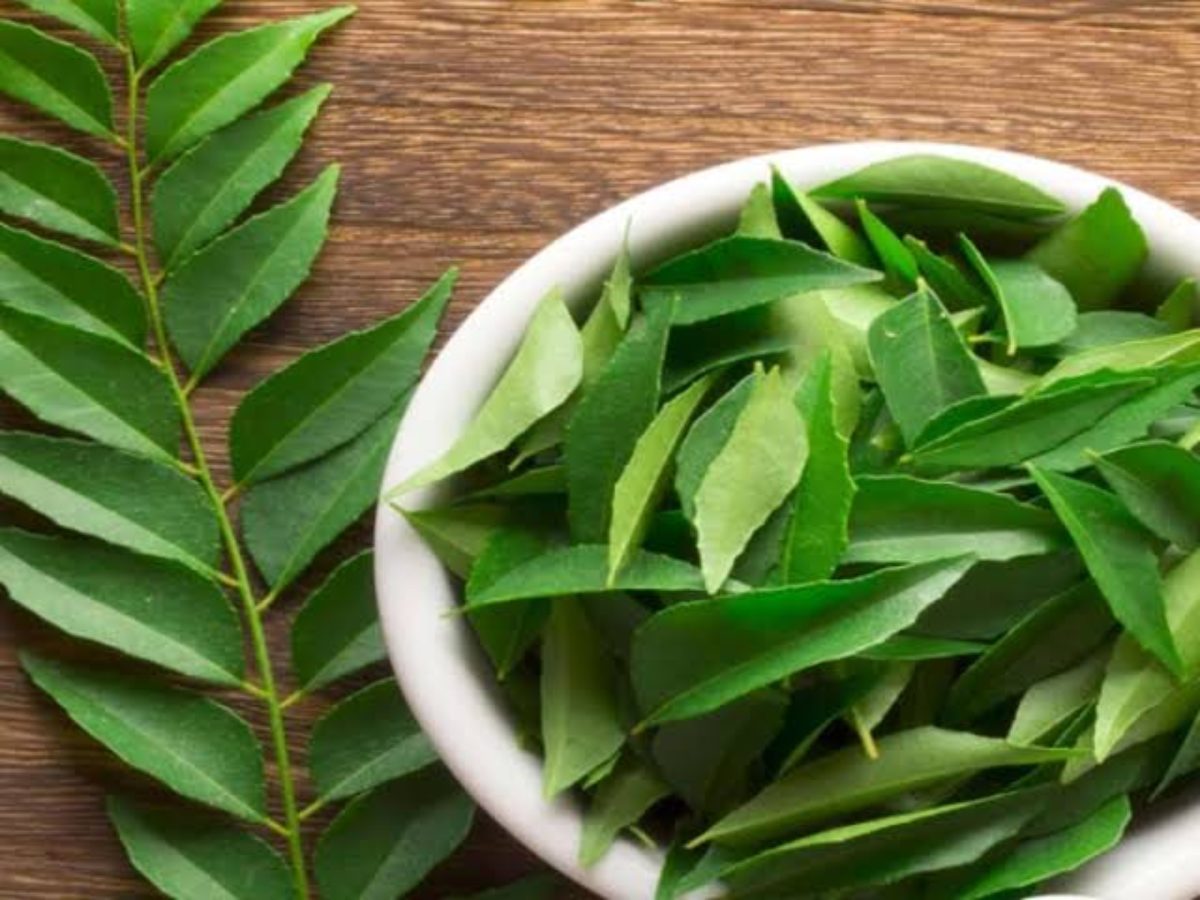 Curry Leaves Benefits: ऐसे पिएं करी पत्ते का पानी, Body होगी डिटॉक्स और तेजी से घटने लगेगा वजन