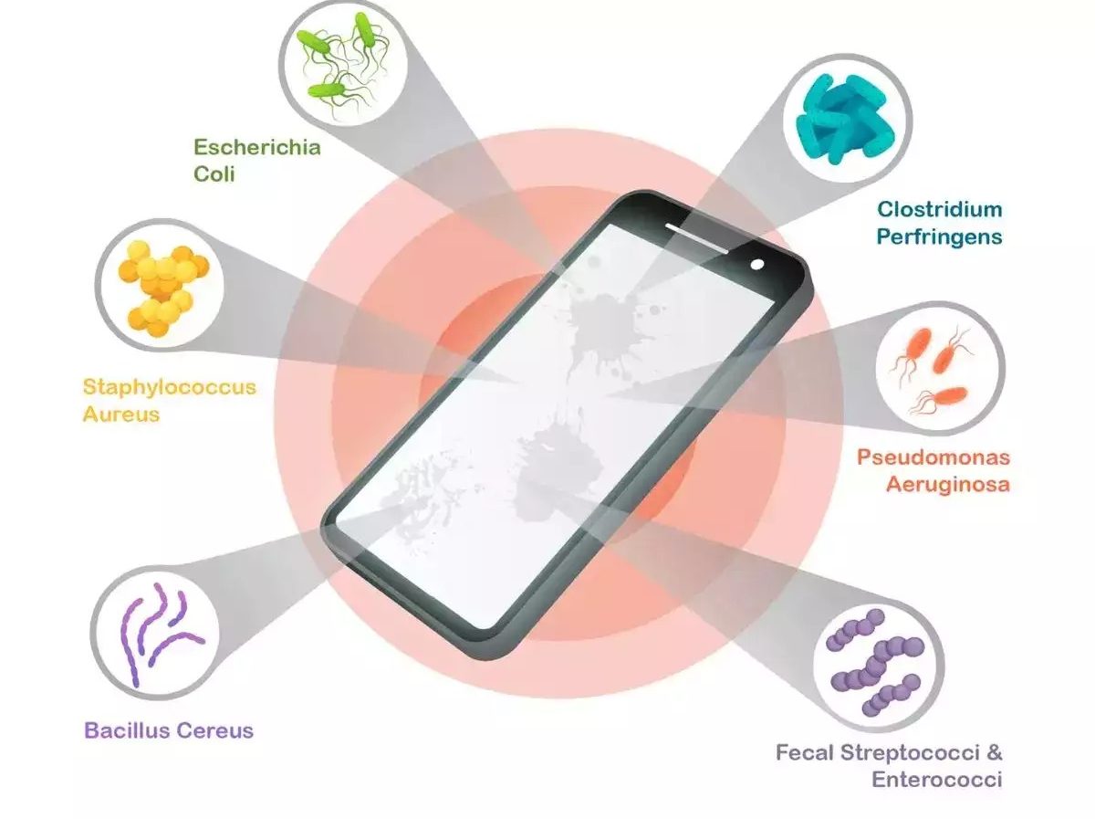 Smartphones in Daily Lifestyle: क्या टॉयलेट सीट से भी ज्यादा गंदा होता है आपका मोबाइल फोन ? यहां जानें क्या है सच्चाई