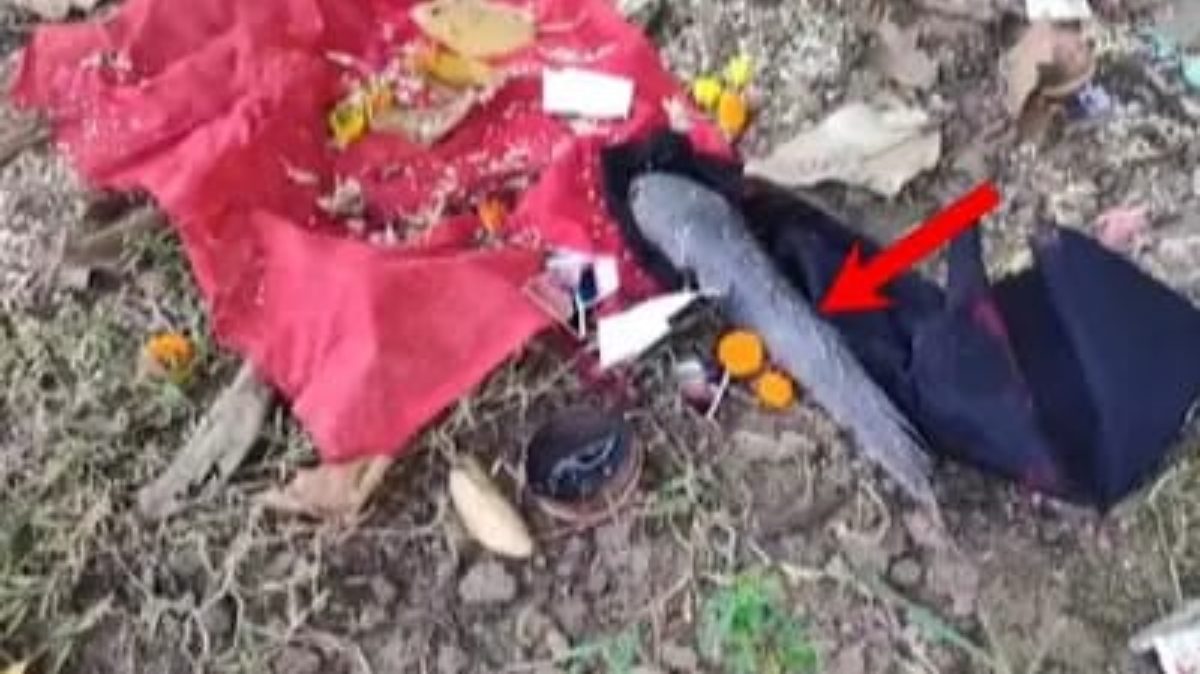 Odisha News: ओडिशा के पूर्व स्पीकर के बेटे बिप्लब पात्र पर काला जादू? विपक्षी ले रहे घटिया राजनीति का सहारा !