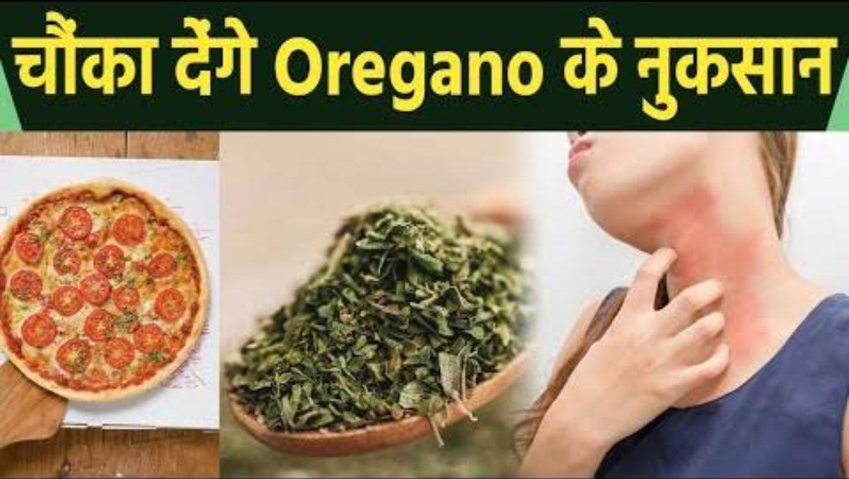 Health Tips: पिज्जा, पास्ता, सैंडविच के साथ ही साथ ऑरेगैनो भी है बहुत unhealthy, यहां जाने ऑरेगैनो खाने के नुकसान…