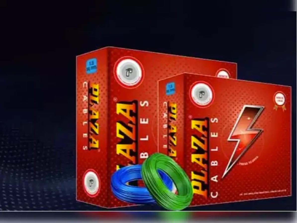 Plaza Wires Share Price: इस कंपनी के शेयर की बढ़ी खरीदारी, महज इतने दिन में पूंजी दोगुनी