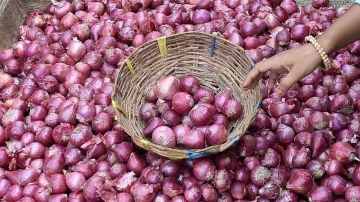 Onion Price Hike During Diwali: क्यों दिवाली के आसपास हर साल बढ़ जाते हैं प्याज के दाम, ऐसे खरीदें सस्ता प्याज!