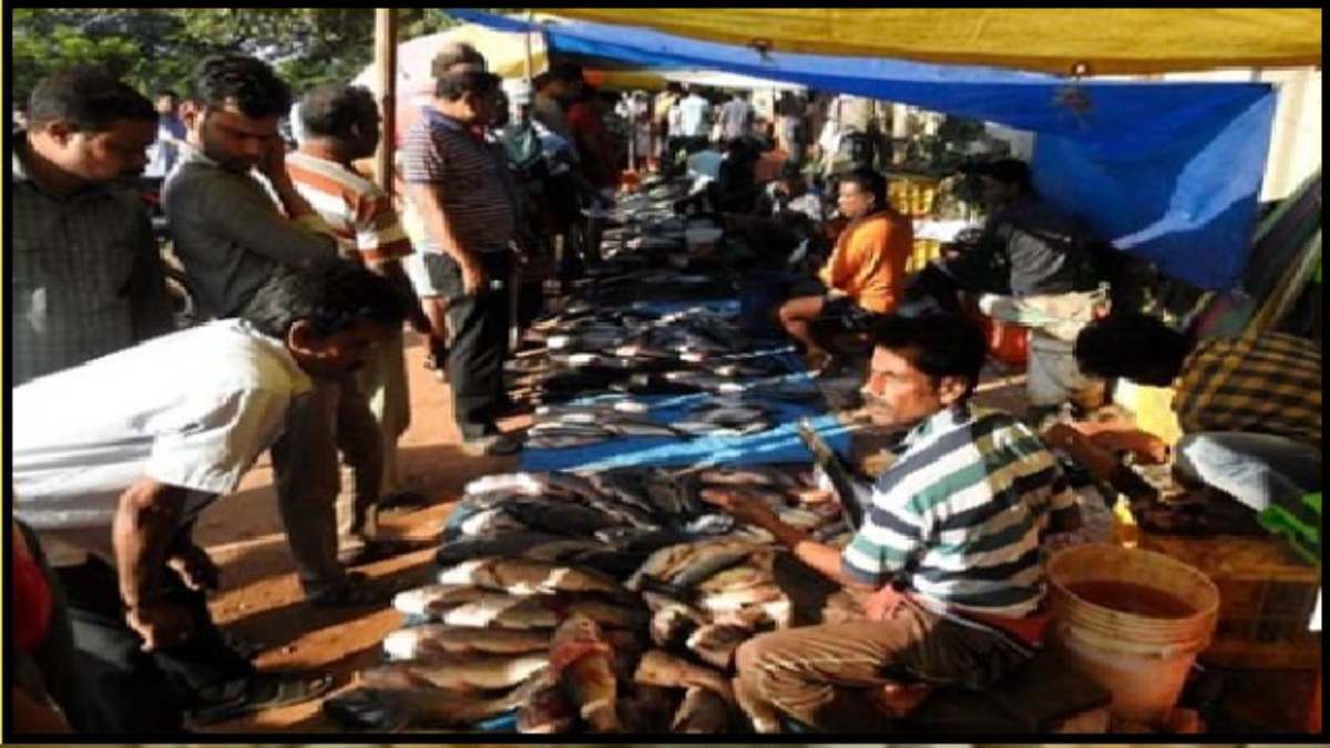 पवित्र कार्तिक महीने से पहले ओडिशा के नॉनवेज बाजारों में लगी भारी भीड़, बढ़ी किमतें …