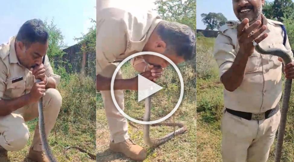 VIDEO: आरक्षक ने CPR देकर बचाई सांप की जान, अब तक 500 सांपों का कर चुके है रेस्क्यू