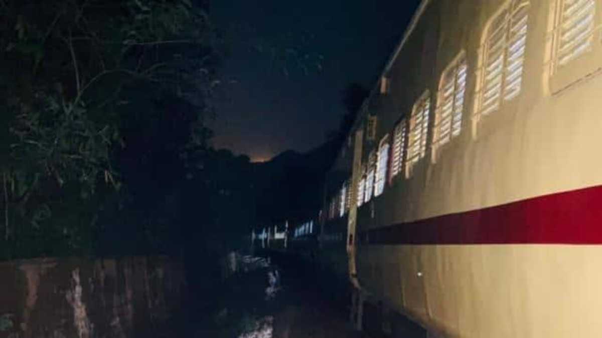 पैसेंजर ट्रेन की चपेट में आने से एक साथ 24 मवेशियों की मौत, यात्रियों में मची अफरा-तफरी